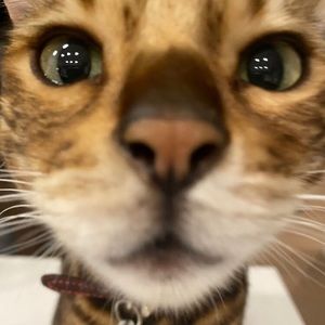 Meet your Posher, Andrew